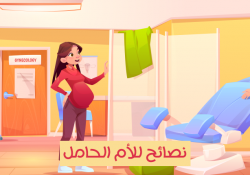 مراحل نمو الجنين