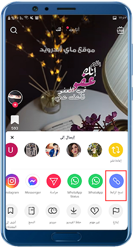 نسخ رابط فيديوهات التيك التوك