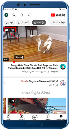 التحكم في الصوت والترجمة للفيديوهات عند تحميل يوتيوب سريع مجانا