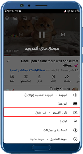 ميزة تكرار الفيديو في اليوتيوب
