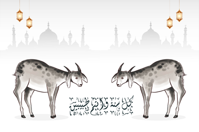 صورعن العيد الاضحى