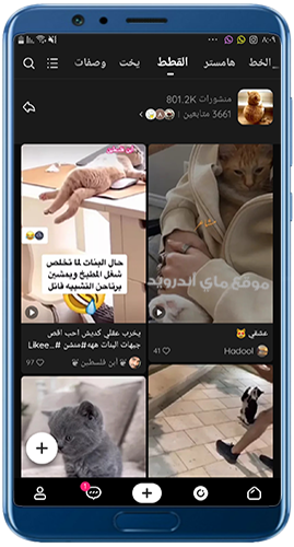 الحلقات في برنامج لايكي أحدث نسخة