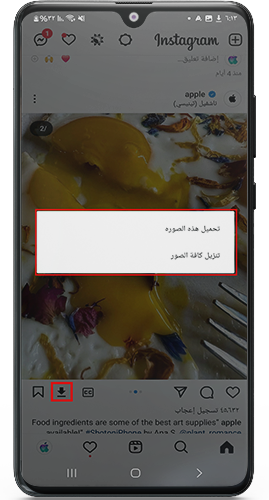 تحميل الصور في انستا البطريق