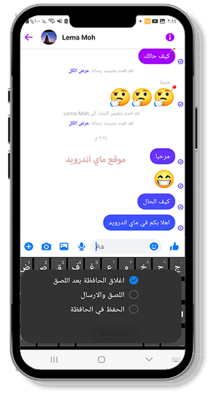 حافظة السراب البعيد 2024