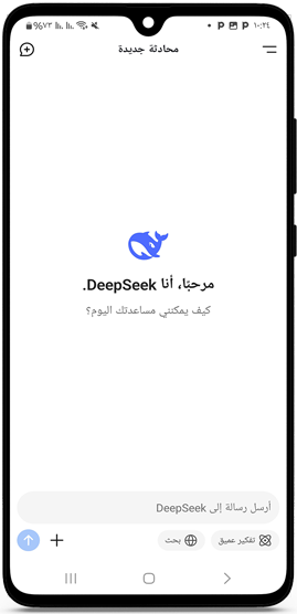 الواجهة البسيطة في برنامج ديب سيك ai