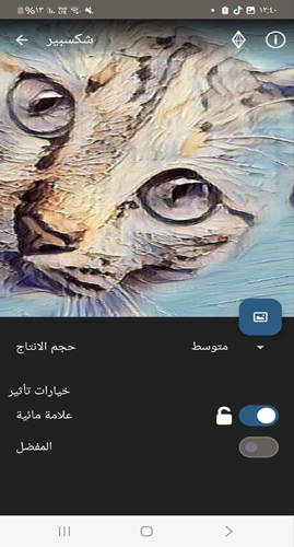 خيارات حفظ الصورة  في تطبيق Painnt 