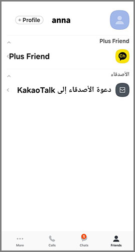 معلومات عن برنامج كاكاو توك