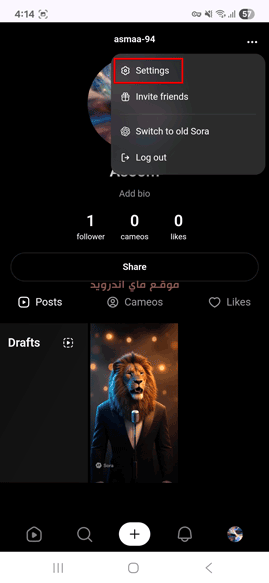 اعدادات تطبيق سورا ai
