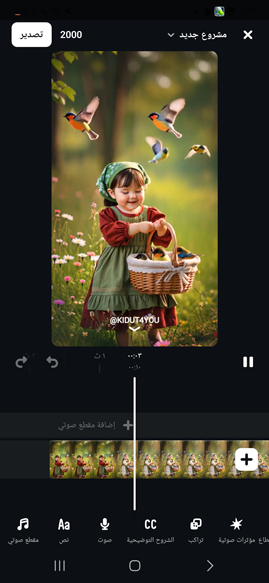 أدوات تحرير الفيديو في برنامج ايديت انستقرام