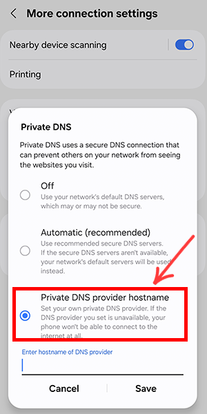 اختر Private DNS provider hostname.